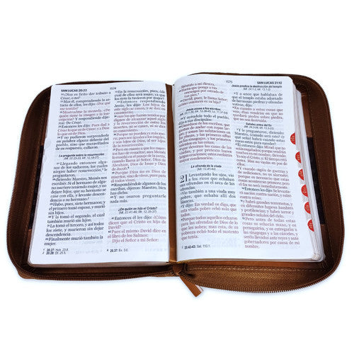 Biblia 045czti LG PJR Classic ABBA café/café,  RVR60