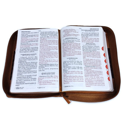 Biblia 045czti LG PJR Classic ABBA café/café,  RVR60