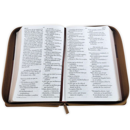 Biblia Tricolor café/café/marrón, RVR060