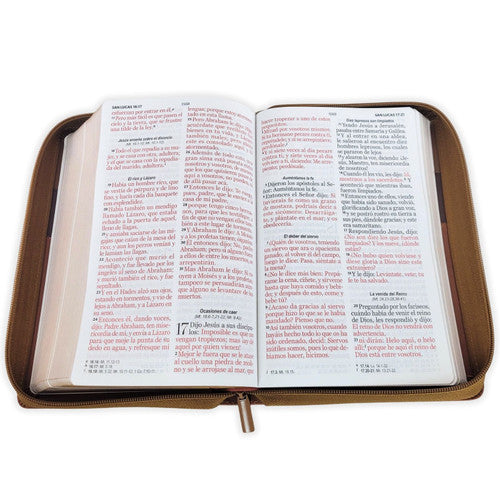 Biblia Tricolor café/café/marrón, RVR060