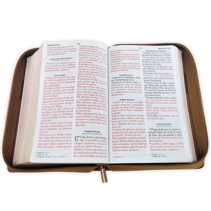 Biblia Tricolor café/café/marrón, RVR060