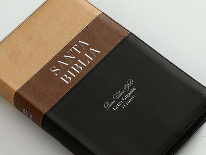 Biblia RVR060 068 cz Tricolor beige/café/negro