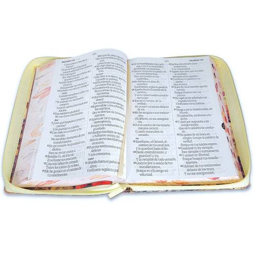 Biblia RVR60 088czti LSGi CP jardín Vintage