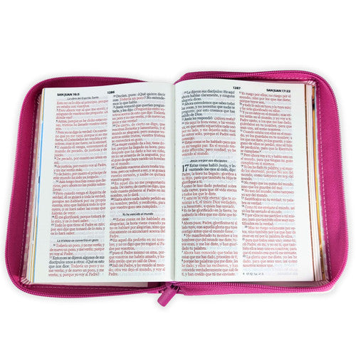 Biblia RVR60 045cz Mi Gran Viaje Rosa/Rayas con asa