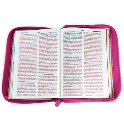 Biblia RVR60 045cz Mi Gran Viaje Rosa/Rayas con asa
