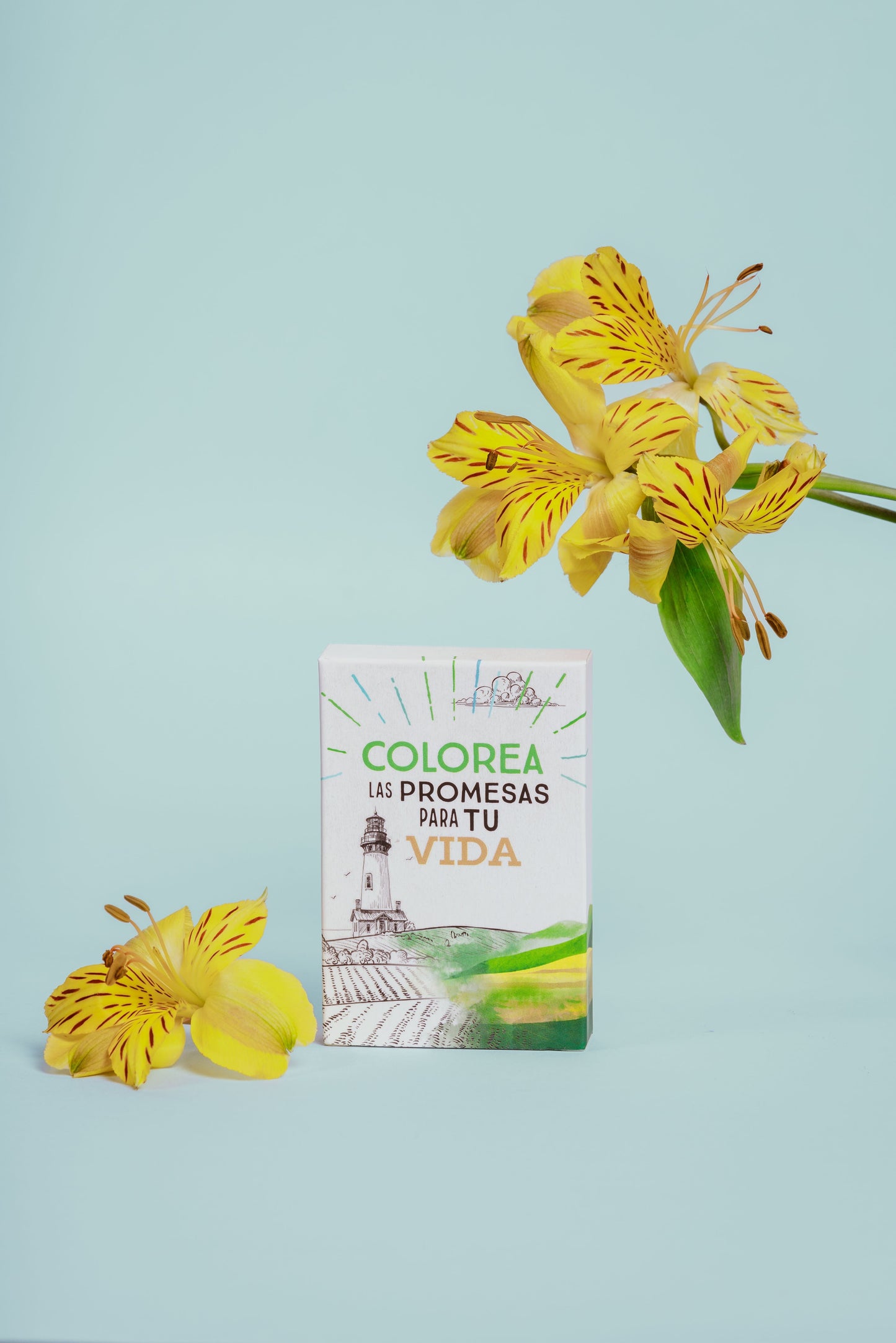Colorea Las Promesas Para Tu Vida, Spp