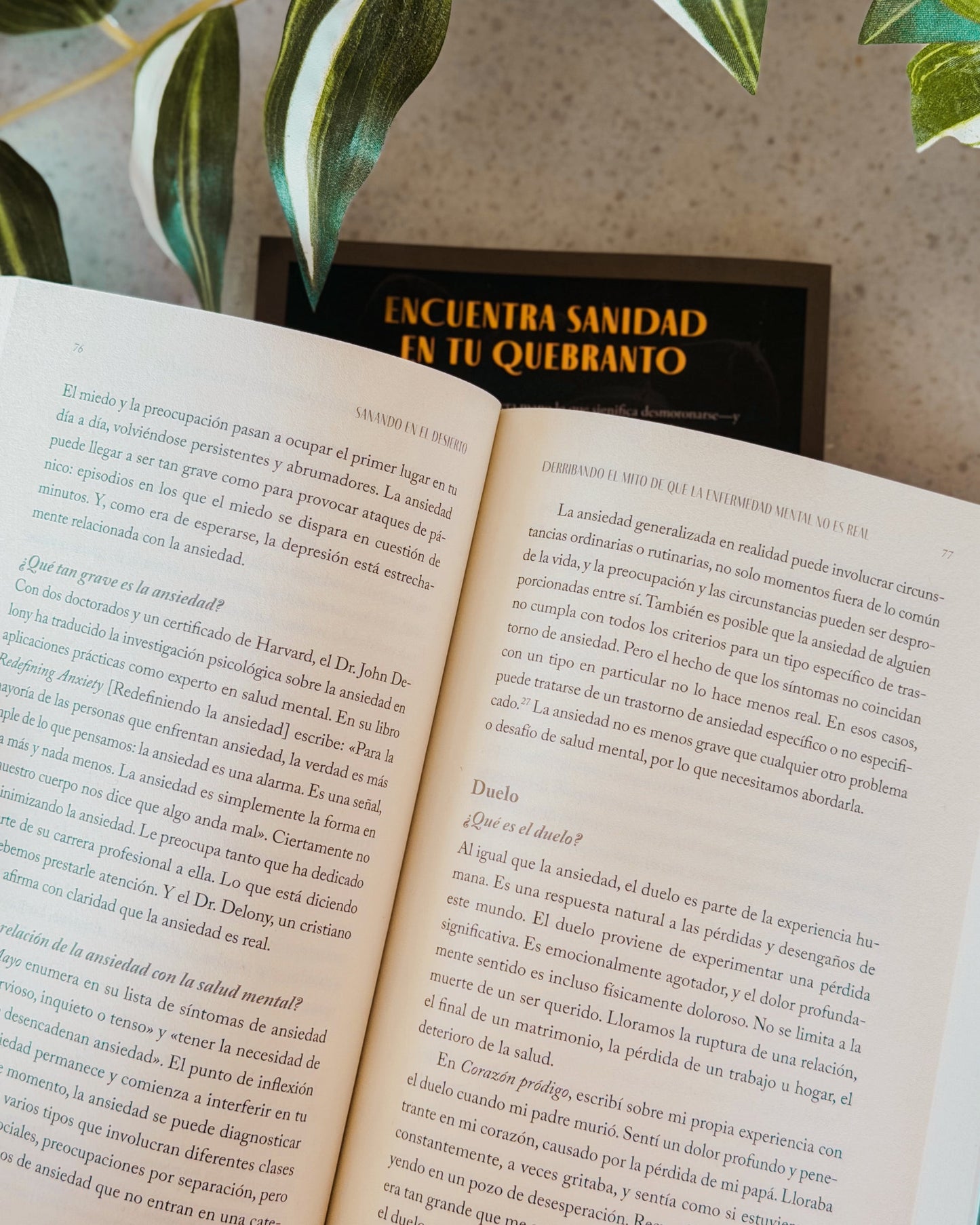 Libro Sanando en el desierto: Encontrando tu voz en el camino del quebranto a la libertad, Christine D`Clario