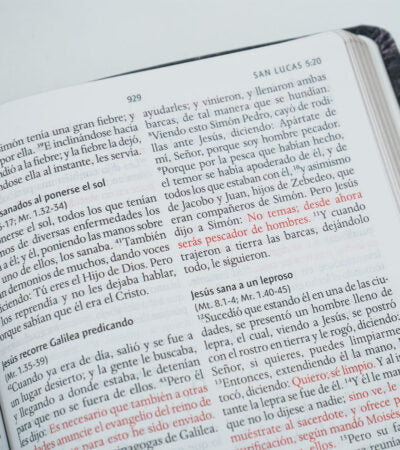 Biblia Letra Grande Tamaño Manual, Símil Piel León de Juda, RVR1960