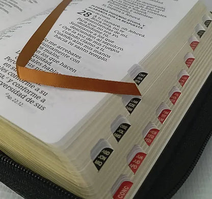 Biblia Letra Gigante Tamaño Manual, Negro/Caramelo, RVR1960