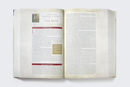 Biblia de Estudio Trasfondo Cultural, Tapa Dura, Interior a Color, Comfort Print: Explora el Mundo Antiguo de la Escritura, RVR1960