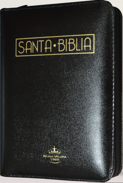 Biblia, Color Negro, Canto Dorado, Con Cierre, Rvr1960