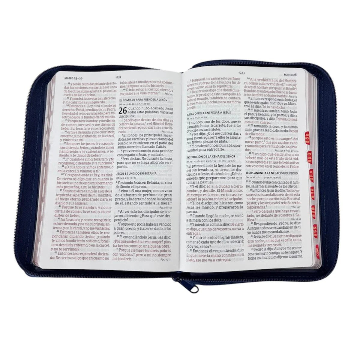 Biblia Letra Grande, Tamaño Manual, Azul Marino, RVR1960