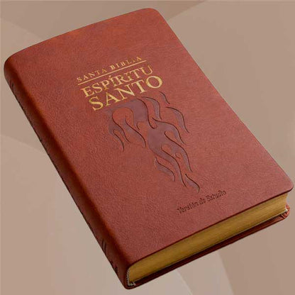 Biblias del Espíritu Santo – económicas. 2025 Cafe