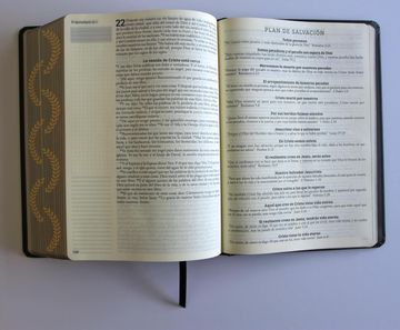 Biblia de apuntes, Negro y oro (Edición cantos pintados), RVR1960