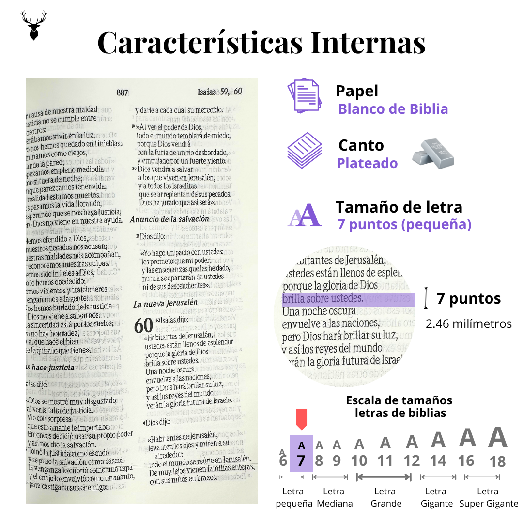Biblia Flexible Lila Plateada Con Cierre - Tla