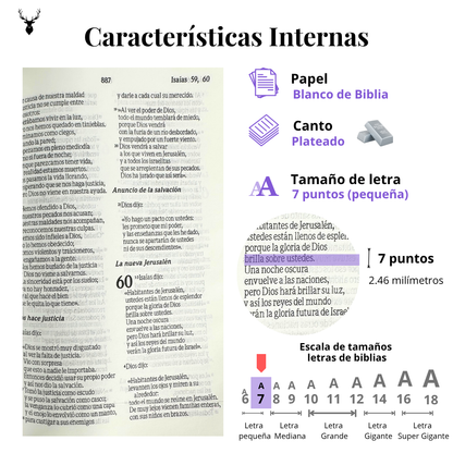 Biblia Flexible Lila Plateada Con Cierre - Tla