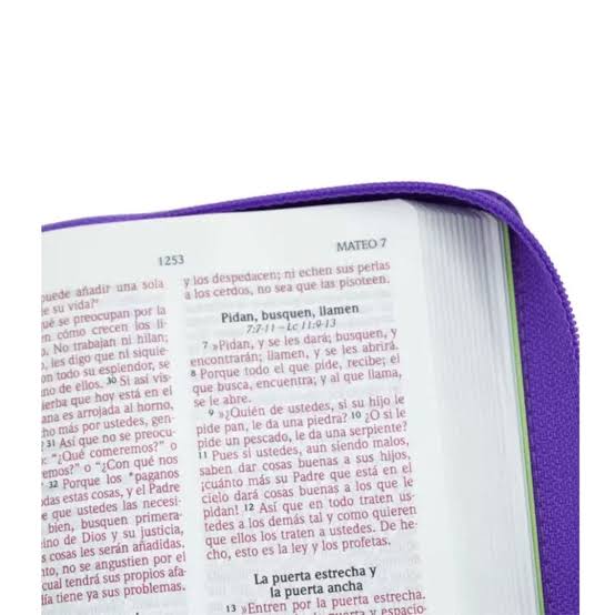 Biblia Panal, Color Violeta Zipper, Nvi