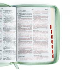 Biblia RVR1960 letra grande tamaño manual, menta