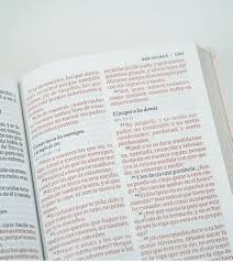 Biblia, Letra Supergigante Edición 2023, Floreada, Rvr 1960
