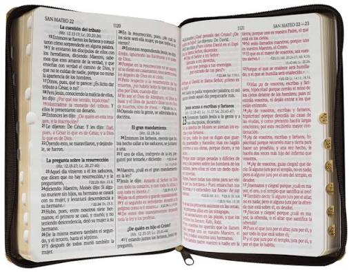 Biblia, Leon de Juda, Concordancia Amplia, Tapa Sensipiel, Letra Grande, Con Cierre, Con Indice, Rvr1960