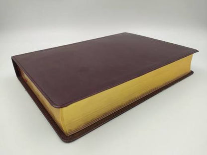 Santa Biblia, Edición Clásica Color Vino, Letra Gigante - Ntv