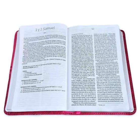 Biblia Mis Quince, Color Frambuesa Con Aplique, Símil Piel, Rvr 1960