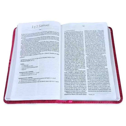 Biblia Mis Quince, Color Frambuesa Con Aplique, Símil Piel, Rvr 1960