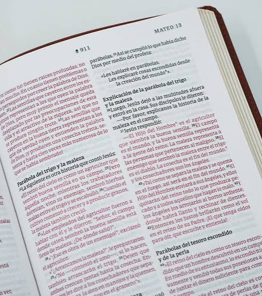 Biblia Ultrafina Sentipiel Café, Con Filament, Ntv