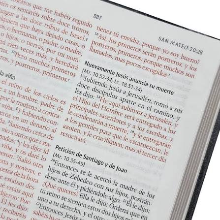 Biblia Letra Grande Tamaño Manual, Símil Piel León de Juda, RVR1960