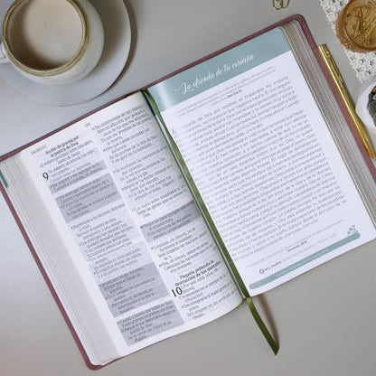 Biblia, Promesa Virtuosa, Letra gigante, Piel especial Rosa, RV60