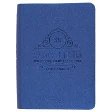Santa Biblia De Bolsillo, Letra Grande, Azul Metalizado, Nvi