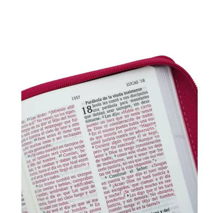 Biblia Fucsia Tornasolado Con Cierre - Nvi