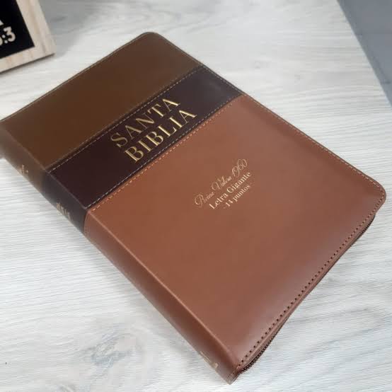 Biblia Tricolor café/café/marrón, RVR060