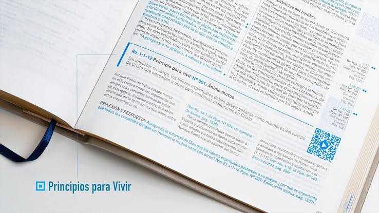 Biblia Principios para Vivir – Biblia Español con Códigos QR y Videos - Biblia de Estudio: Símil Piel Arena, NTV