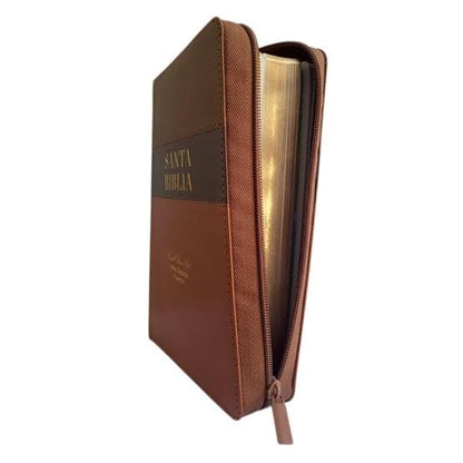 Biblia Tricolor café/café/marrón, RVR060