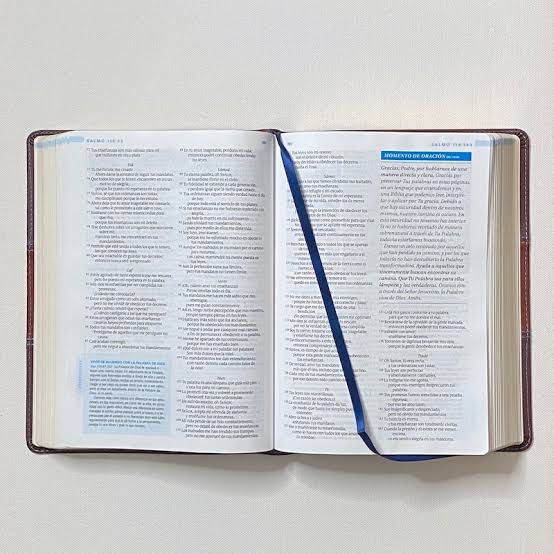 Biblia De Estudio Swindoll, Café - Ntv
