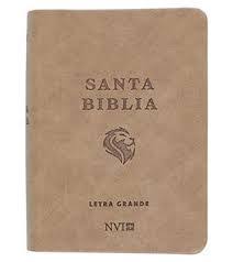 Santa Biblia Letra Grande - NVI