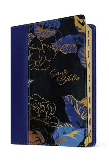 Biblia Manual Ntv, Letra Grande Con Filament, Color Azul Oscuro/ Hojas