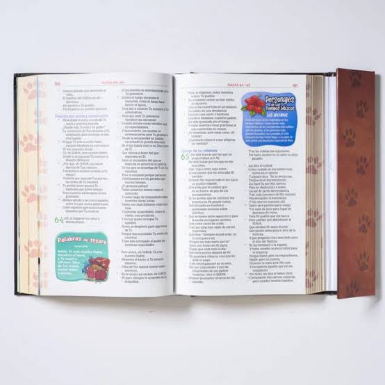Biblia, Aventura para niños, León Tapa Dura, NBLA