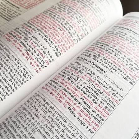 Biblia Vida Plena - Ampliada (Imitación piel marrón), Donald Stamps