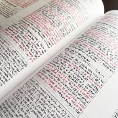 Biblia Vida Plena - Ampliada (Imitación piel marrón), Donald Stamps