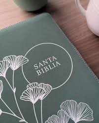 Biblia de referencia en la columna central NTV, letra grande de zíper con Filament (SentiPiel, Verde, Letra Roja)