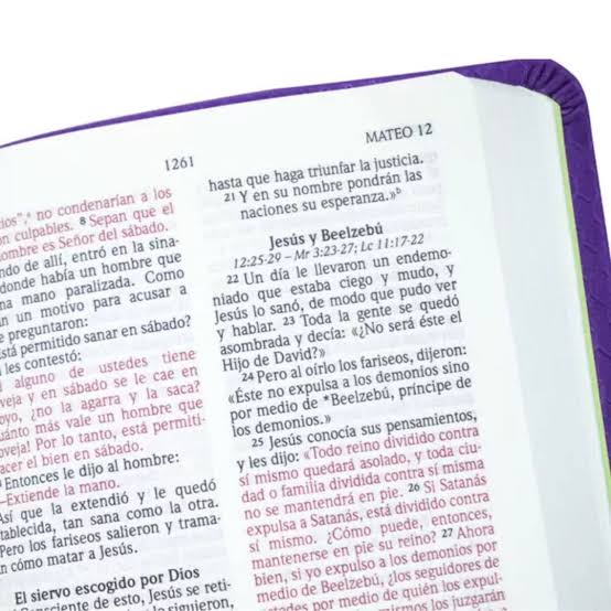 Biblia Panal, Color Violeta, NVI