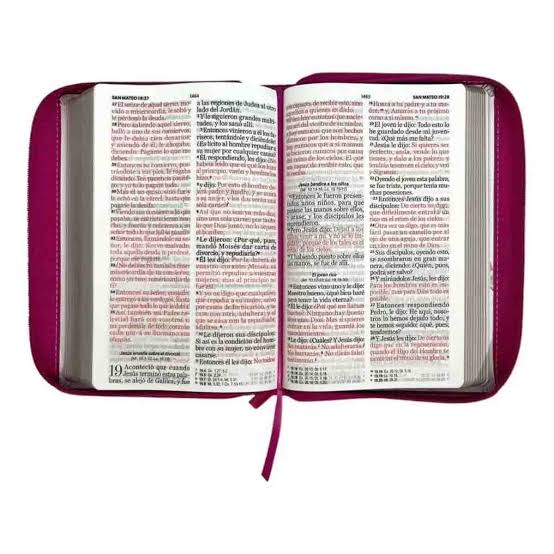 Biblia RVR060 068 cz Flores Rosas