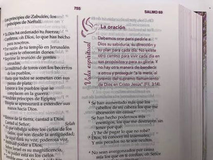 Biblia De La Mujer Conforme Al Corazón De Dios Rvr 1960: Tapa Dura -  Elizabeth George
