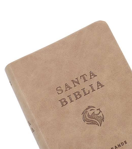Santa Biblia Letra Grande - NVI