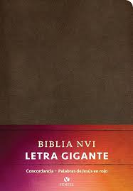 Biblia Letra Gigante, Piel Marrón - Nvi