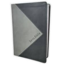 Biblia Thompson Referencias Piel Gris- Rvr 1960
