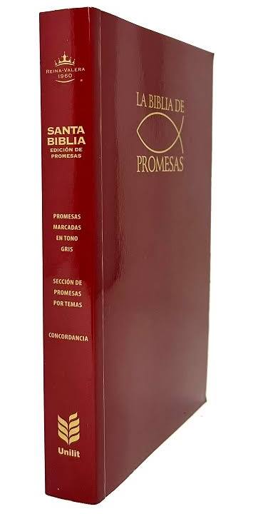 Biblia De Promesas, Tapa Rustica Roja - Rvr 1960