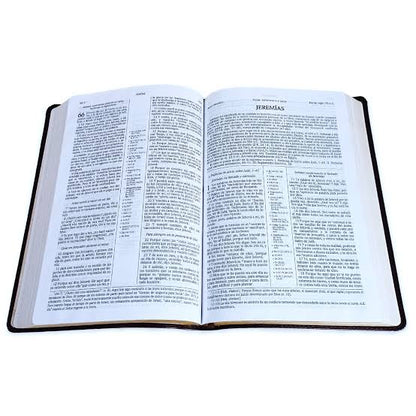 Biblia De Estudio Scofield RVR 1960